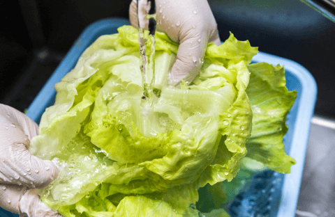 野菜洗浄